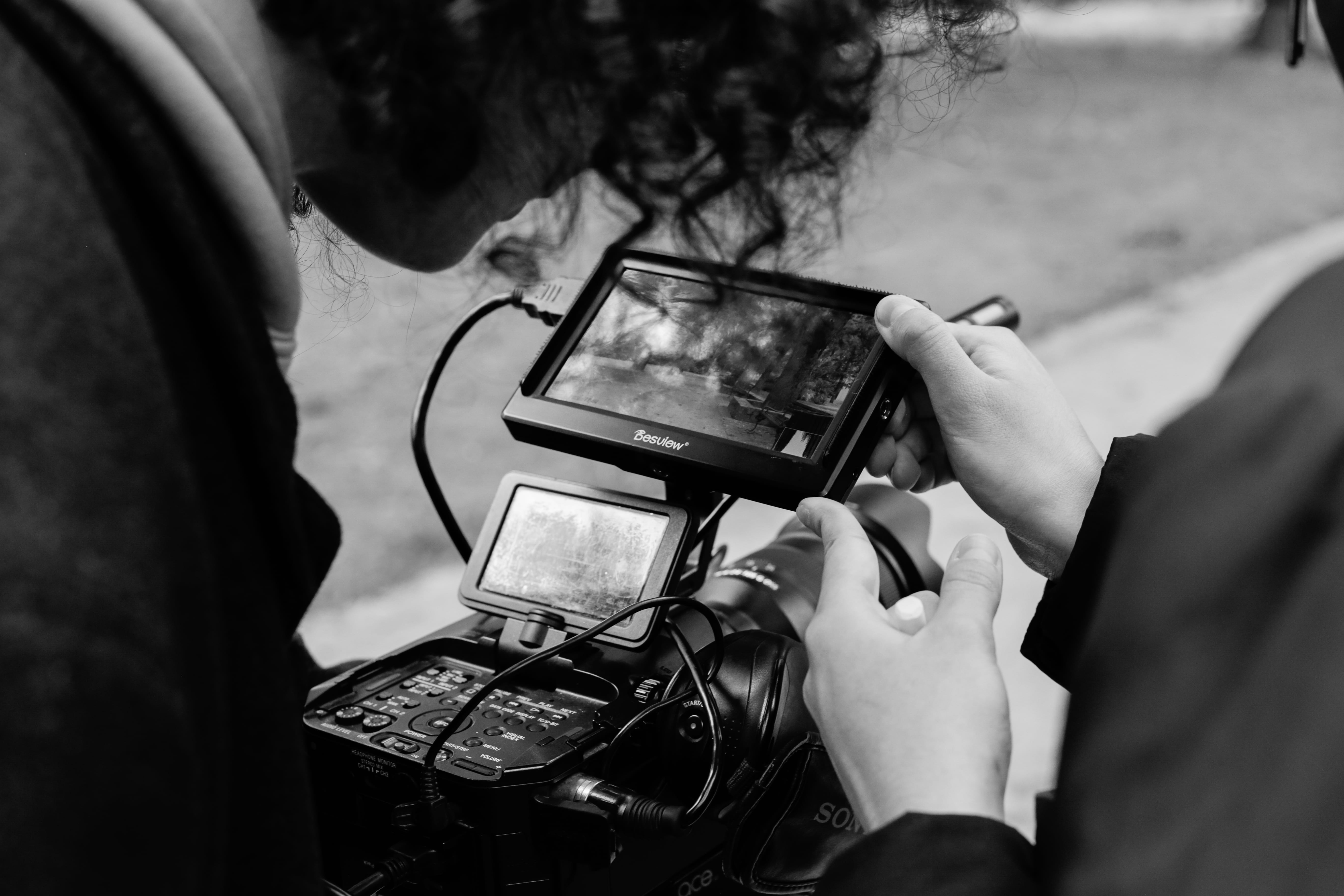 Rose camera rig detail