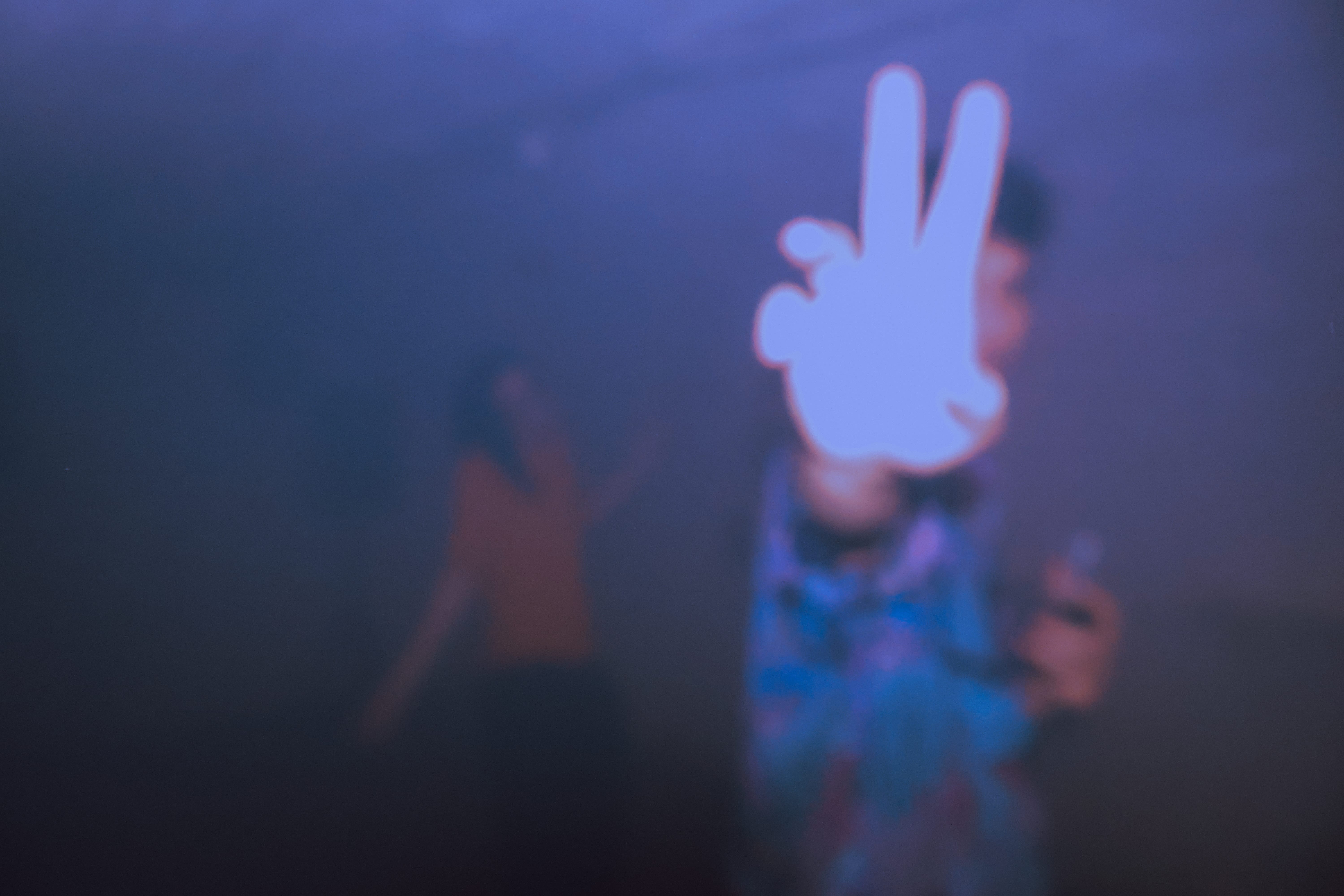 Audience silhouette