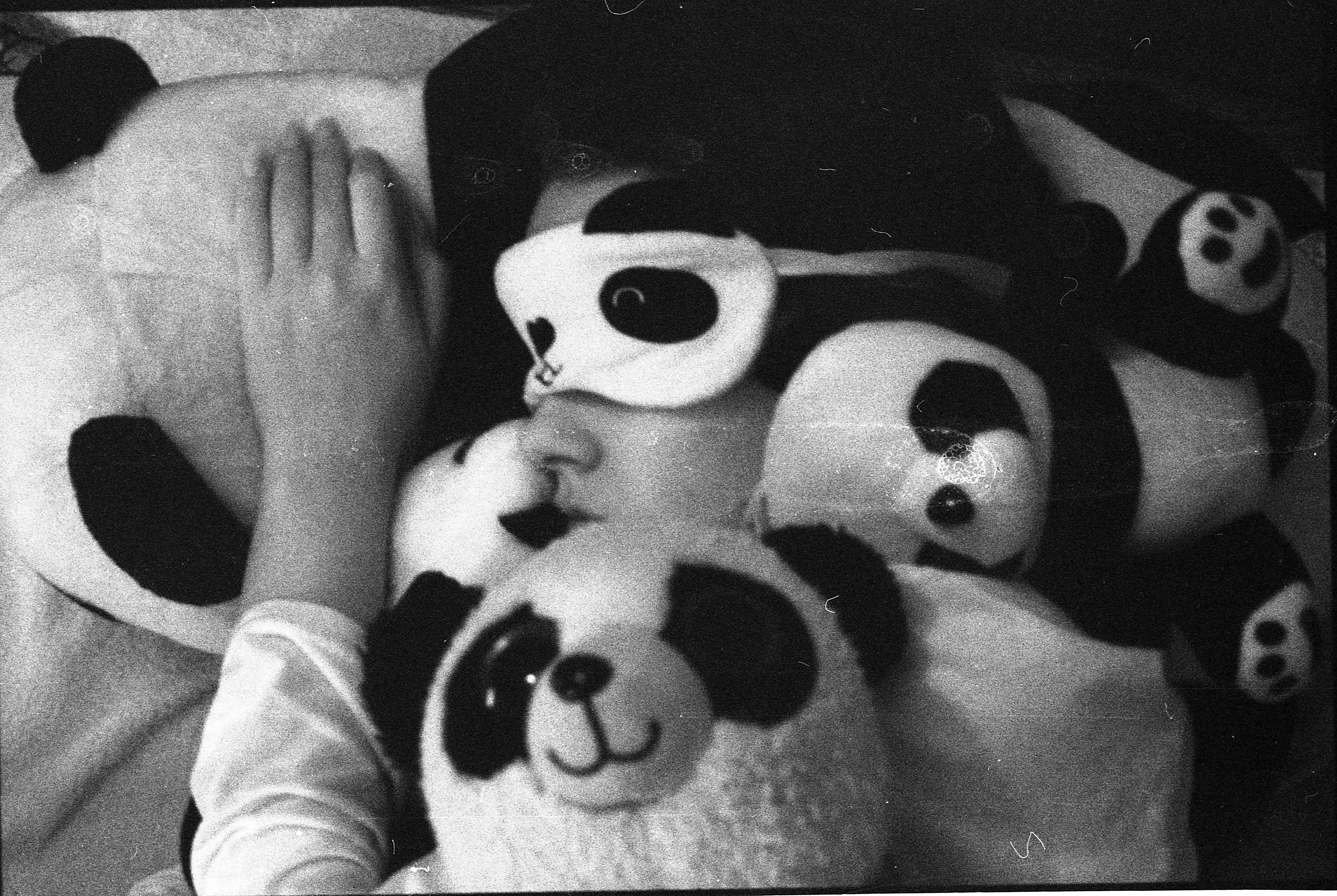 Anja - Sleeping among pandas
